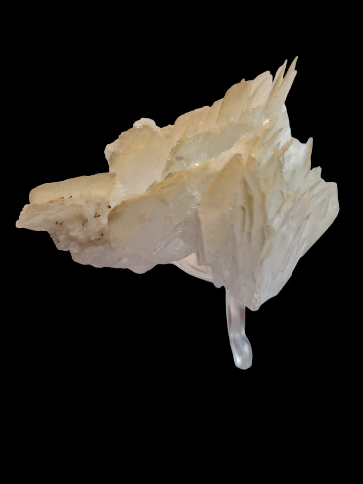Golden White Celestine/Celestite Mineral Specimen Cluster