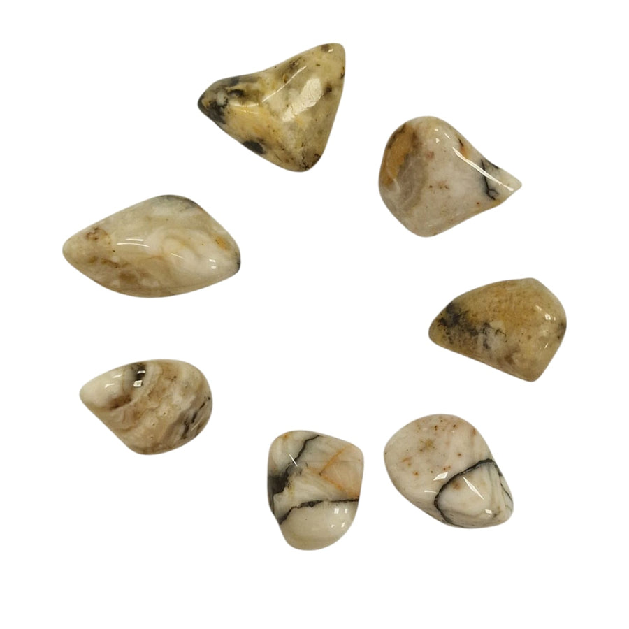 Cataclasite Rare Tumble Stone – polished tumble stone for crystal healing and meditation