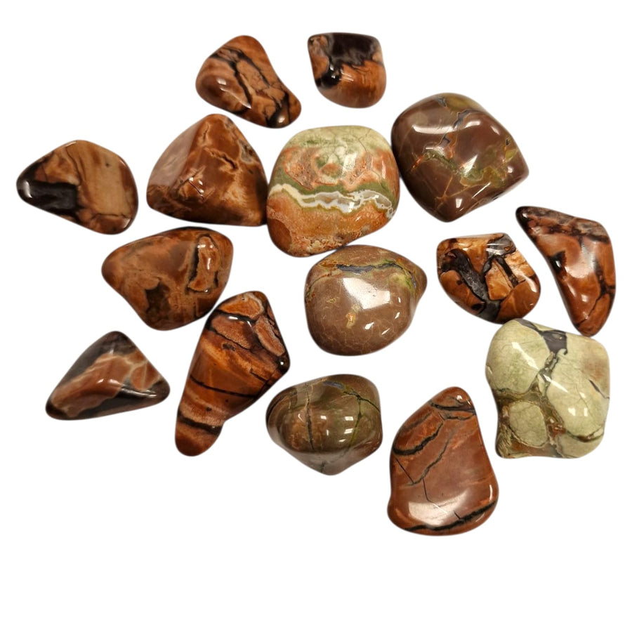 Amulet Stone (Thunder Egg) Tumble Stone - Unlock Your Inner Power – polished tumble stone for crystal healing and meditation