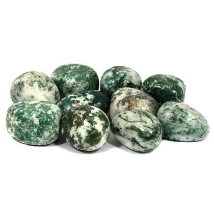 Tree Jasper Tumble Stone – polished tumble stone for crystal healing and meditation