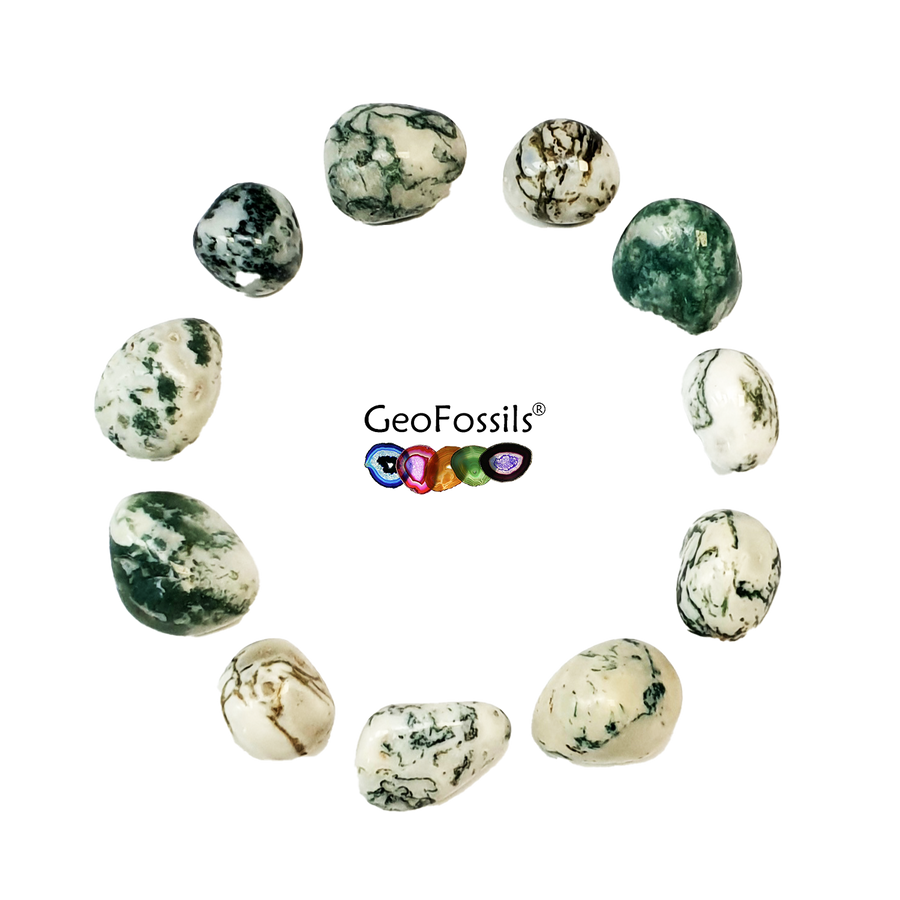 Tree Agate Polished Healing Crystal Tumble Stone – polished tumble stone for crystal healing and meditation