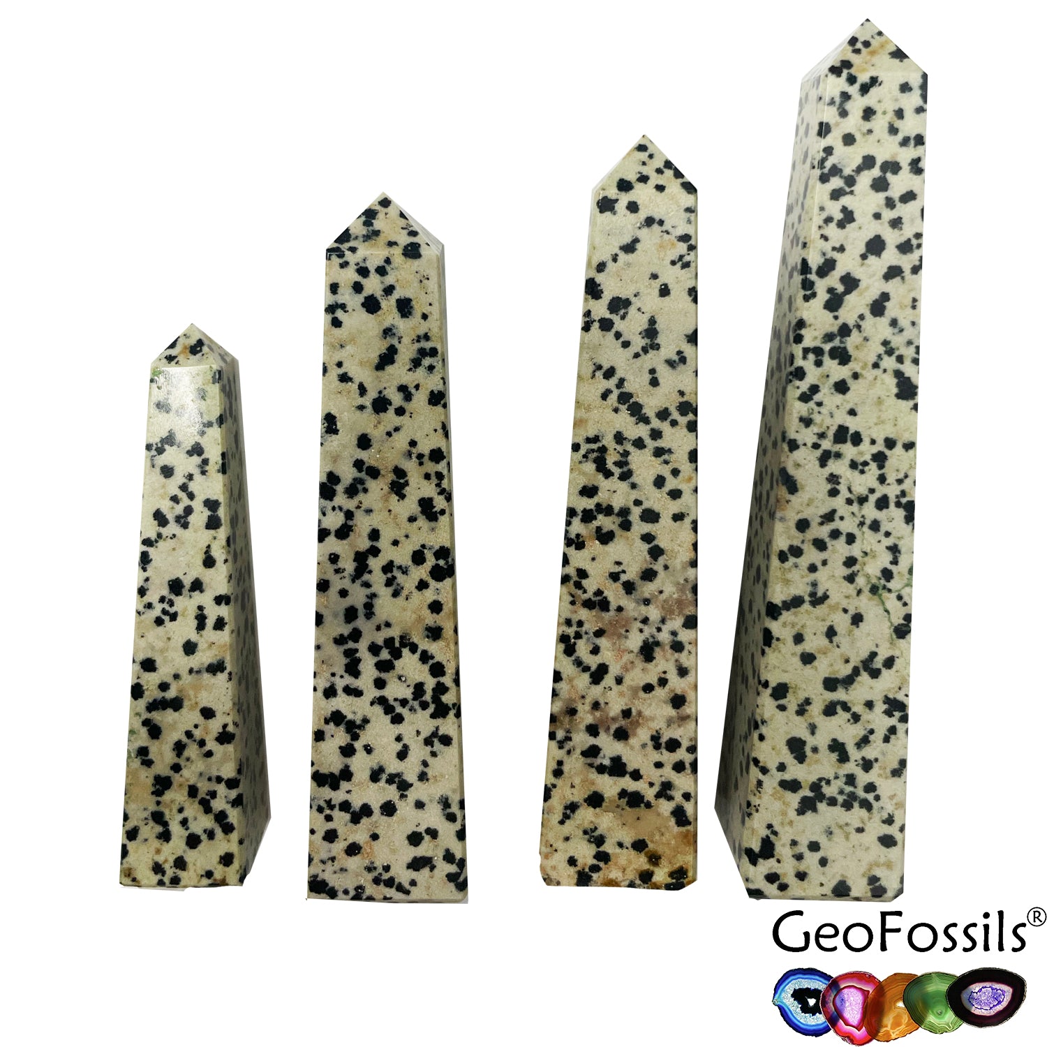 GeoFossils Dalmation Stone