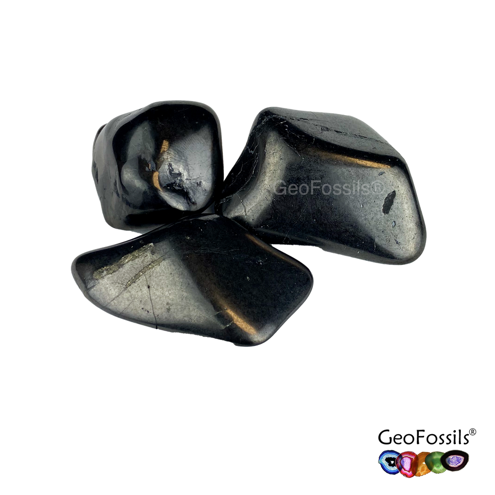 GeoFossils Shungite Tumblestone (20-25mm) Single