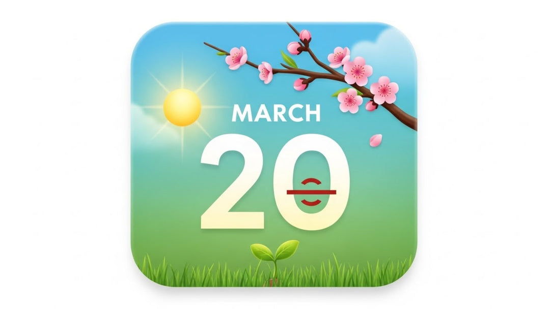 March Equinox on March 20 illustrated with a bright sun, spring blossom branch, and new green growth symbolising balance, renewal, and the start of spring.