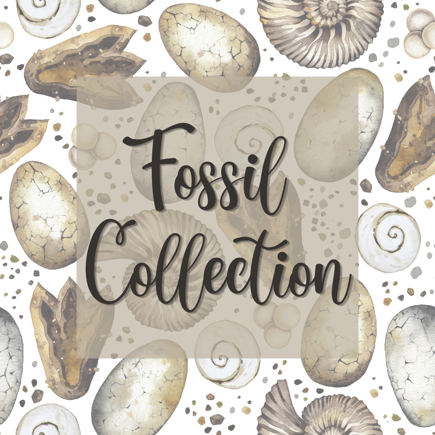 GeoFossils Fossil collection image
