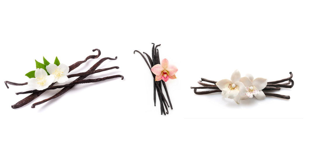 Vanilla Blossom Collection