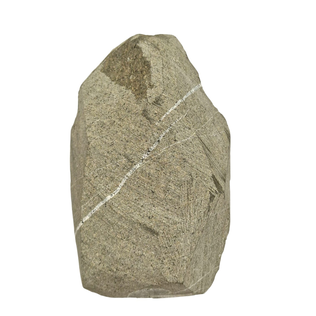 GeoFossils Promicroceras planicosta – calcite ammonite fossil, 2.5 cm (1 inch), Lower Lias (Obtusum Zone), Sinemurian, Charmouth, Dorset, UK Jurassic Coast.#1
