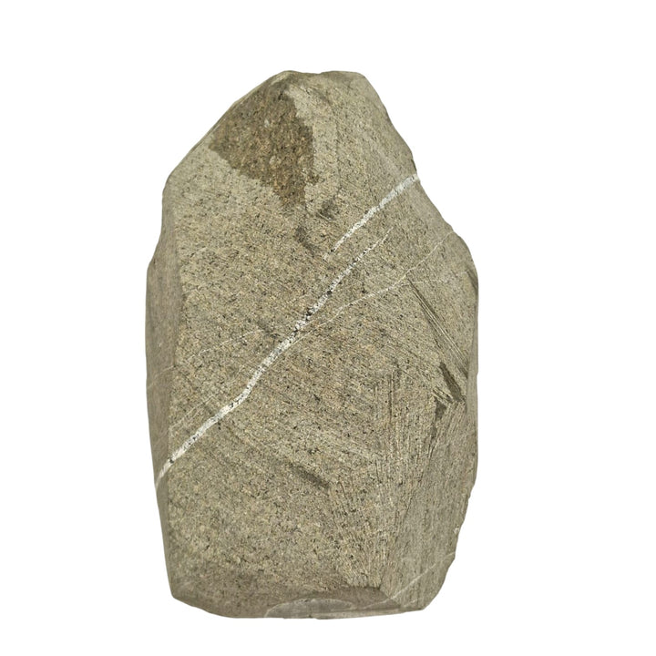 GeoFossils Promicroceras planicosta – calcite ammonite fossil, 2.5 cm (1 inch), Lower Lias (Obtusum Zone), Sinemurian, Charmouth, Dorset, UK Jurassic Coast.#1