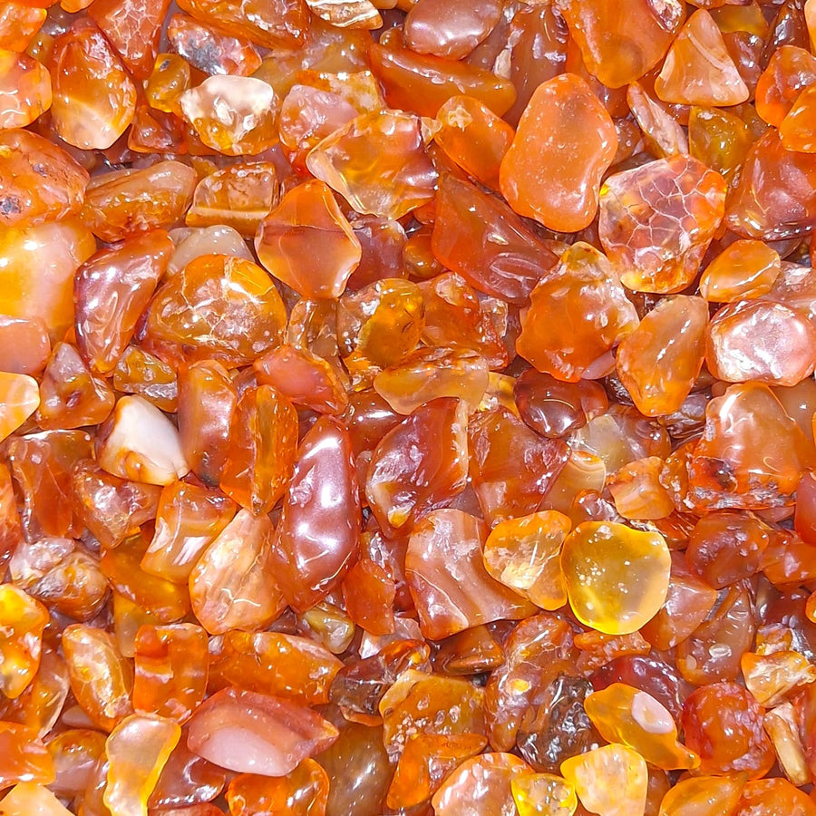 GeoFossils Carnelian Mini Gem chips Spark Your Passion and Creativity