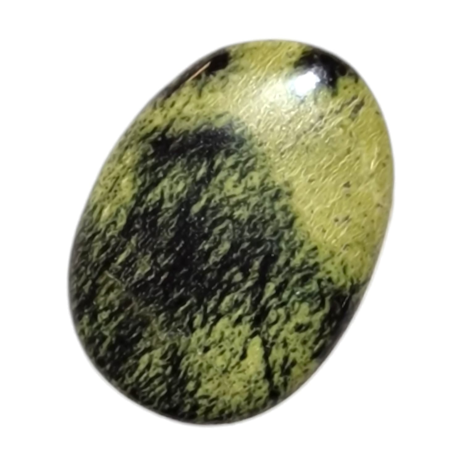 GeoFossils Cheetah Jade Medium Oval, an earthy-toned crystal for strength, motivation, and grounding energy.