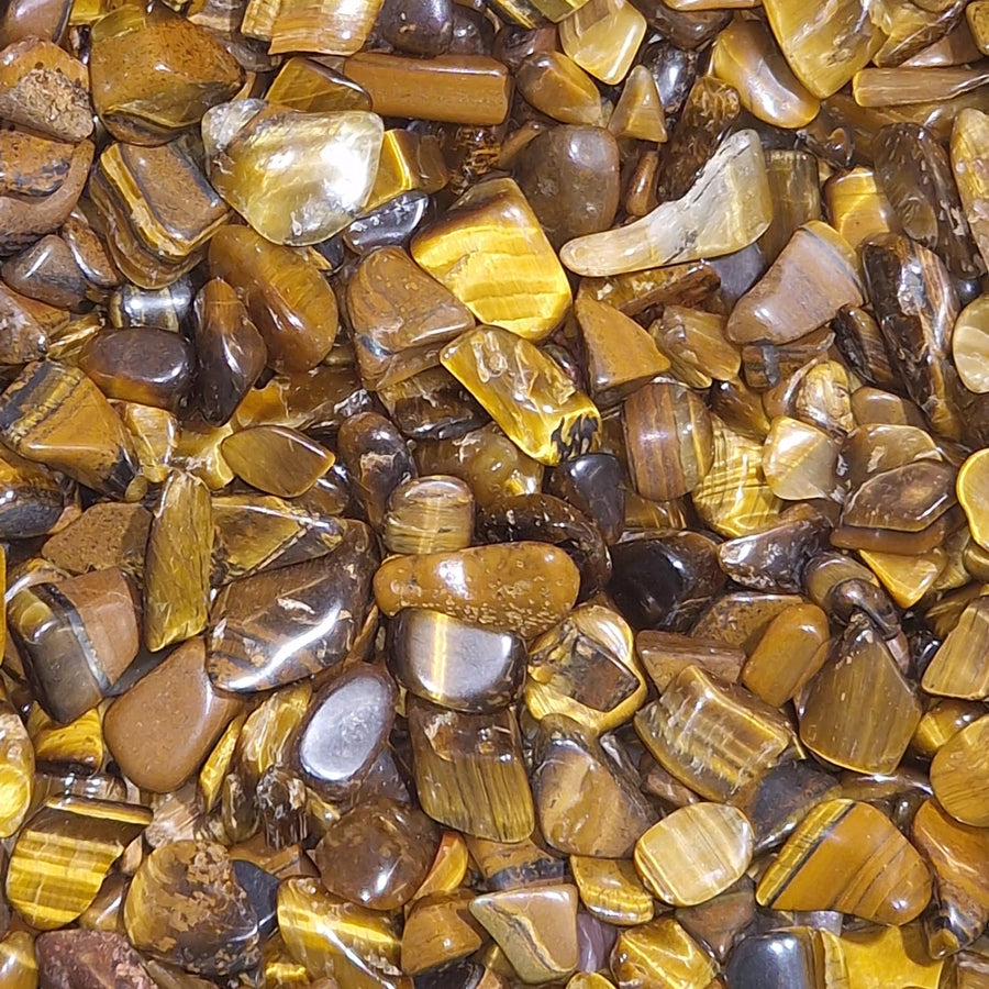 GeoFossils Gold Tigers Eye Mini Gem chip