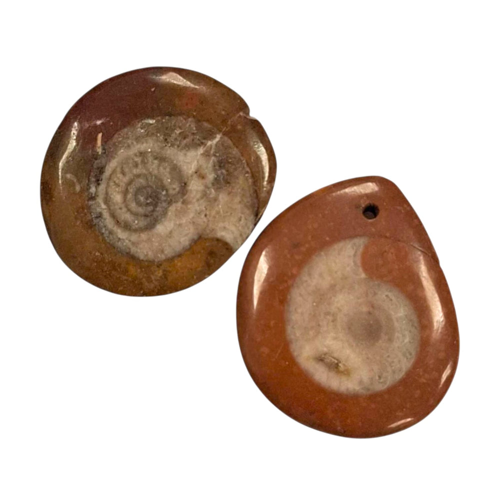 Goniatite drilled tumble stone pendant on a black cord – spiral fossil crystal for grounding, transformation and ancient spiritual energy