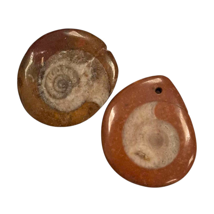 Goniatite drilled tumble stone pendant on a black cord – spiral fossil crystal for grounding, transformation and ancient spiritual energy