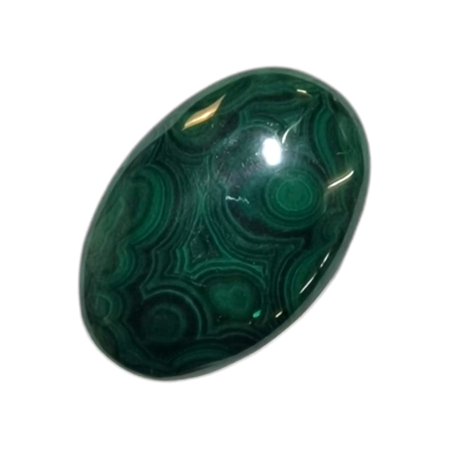 GeoFossils Malachite Medium Oval, a vibrant green crystal for transformation, protection, and emotional healing.