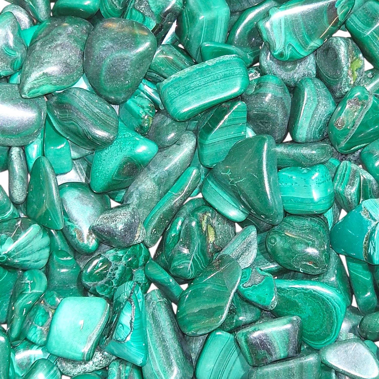 GeoFossils Green Malachite Mini Gem Chip