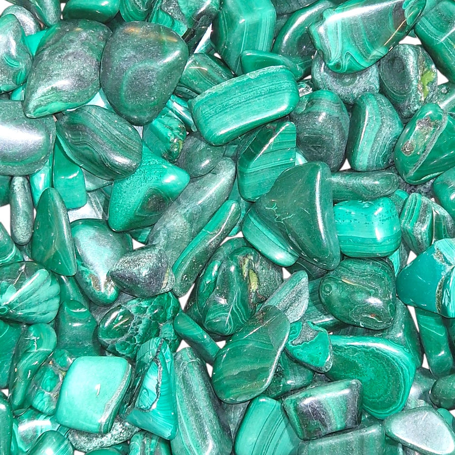 GeoFossils Green Malachite Mini Gem Chip