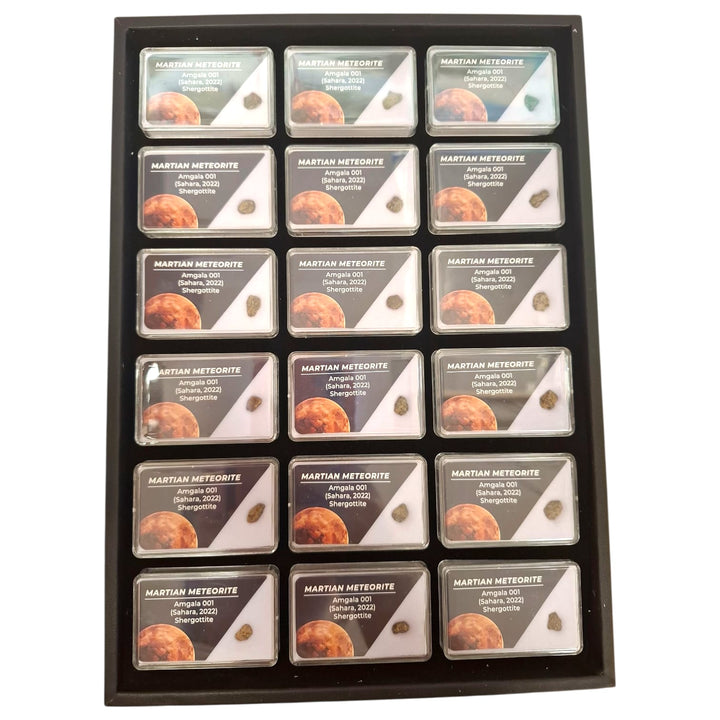 GeoFossils Martian Meteorite – Amalga 001 Shergottite Fragment from Mars in Display Box