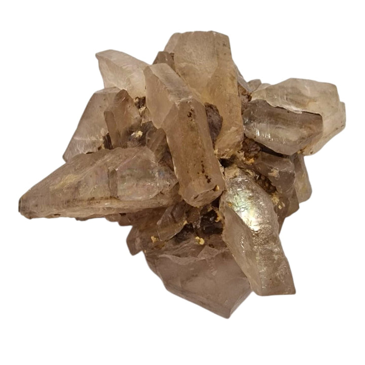 GeoFossils Selenite Mineral Specimen, UV reactive crystal for energy cleansing, clarity, and spiritual elevation.