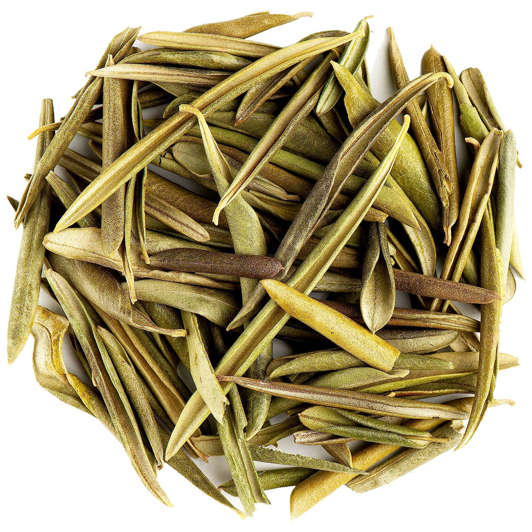GeoFossils Dried Olive Leaves for Ritual or magical work