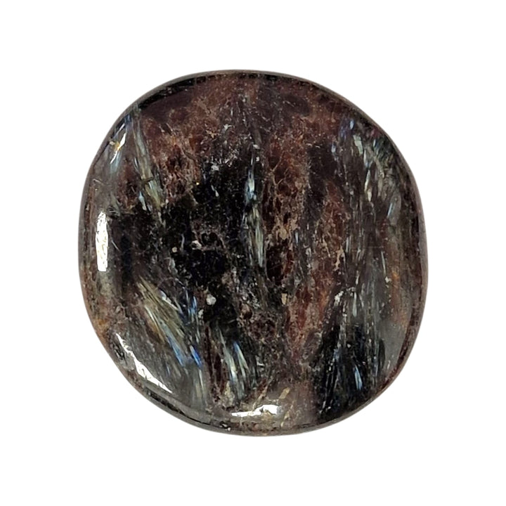 GeoFossils Astrophyllite Palm Stone, a polished crystal with golden starbursts for spiritual growth, self-illumination, and transformation.