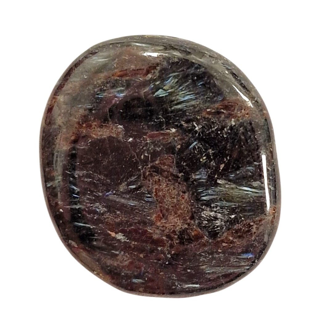 GeoFossils Astrophyllite Palm Stone, a polished crystal with golden starbursts for spiritual growth, self-illumination, and transformation.