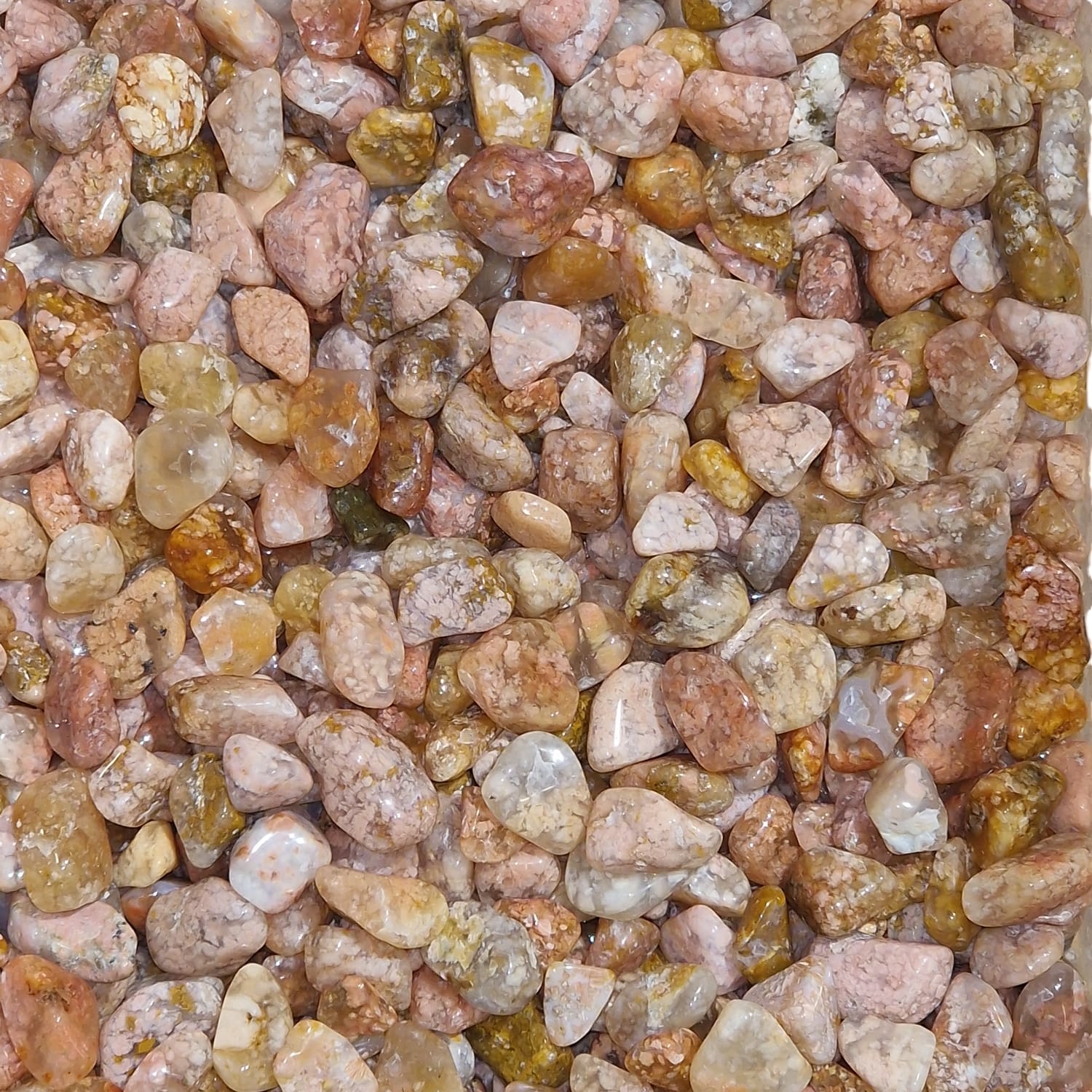 GeoFossils Pink Moss agate Mini Gem Chip