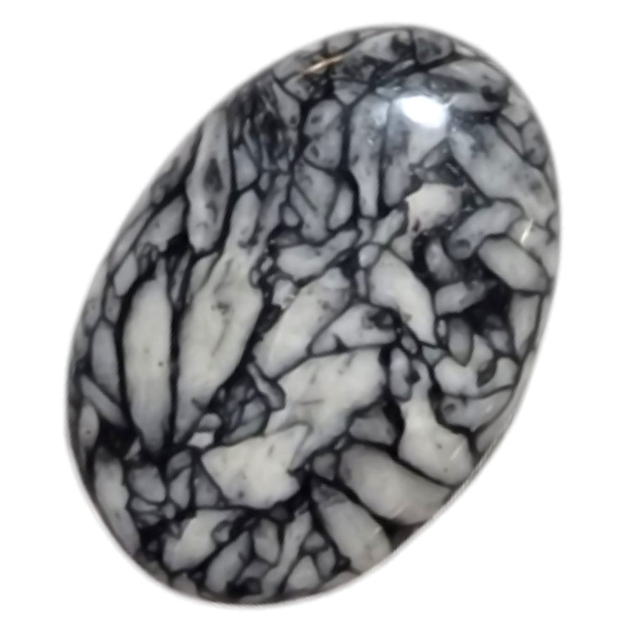 Pinolith Medium Oval – a black and white marbled crystal known for promoting inner peace, grounding, and emotional balance