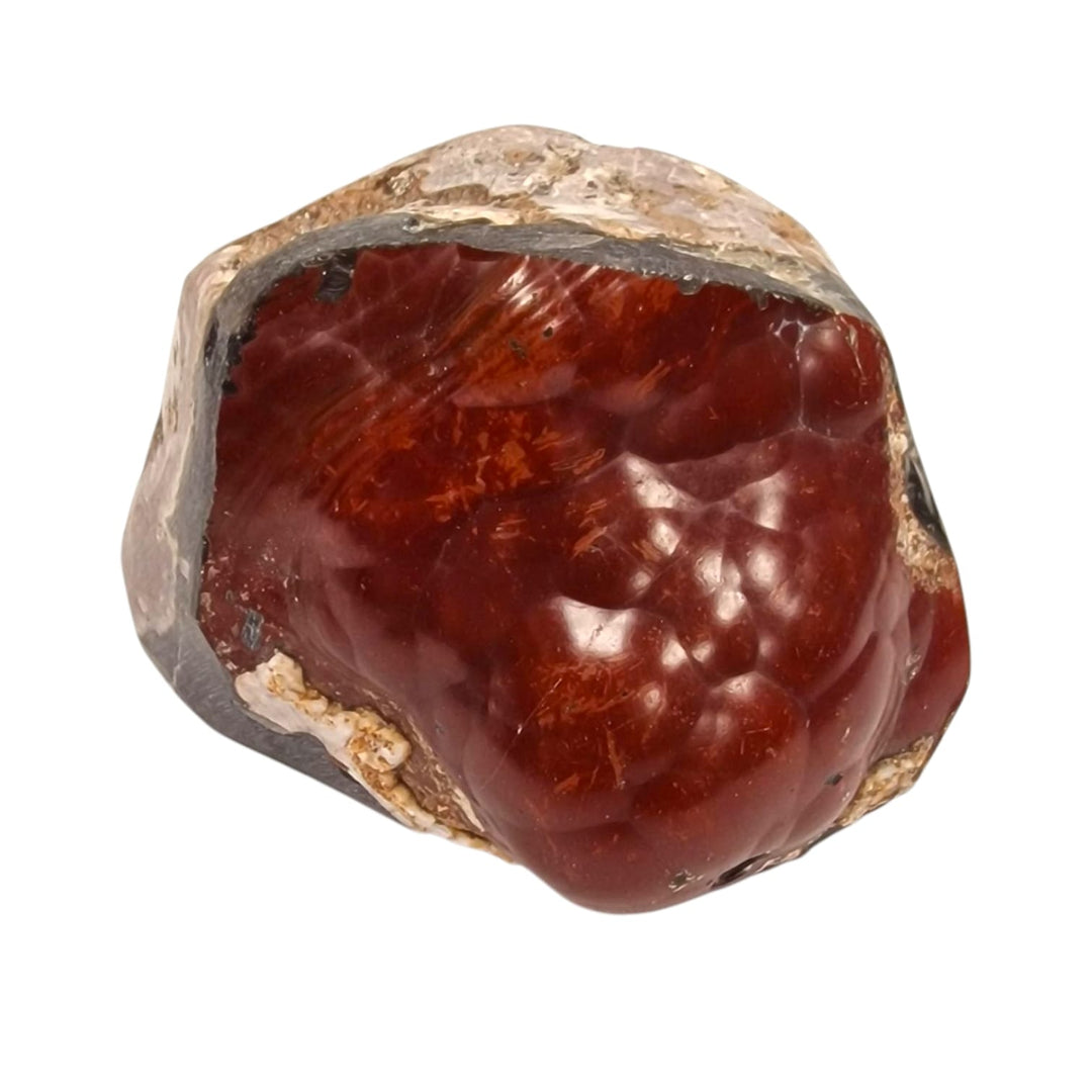 GeoFossils Red Fox Agate Mineral Specimen from Patagonia, featuring warm earthy tones for grounding, protection, and emotional stability.
