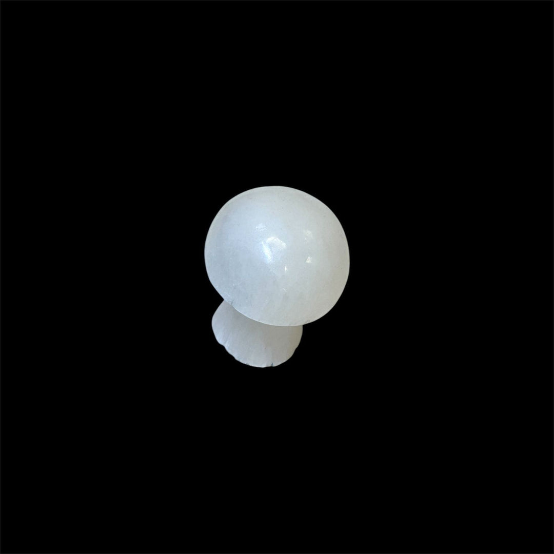 High-vibrational Selenite Mushroom in a smooth polished finish, ideal for Crown Chakra and meditation use.
