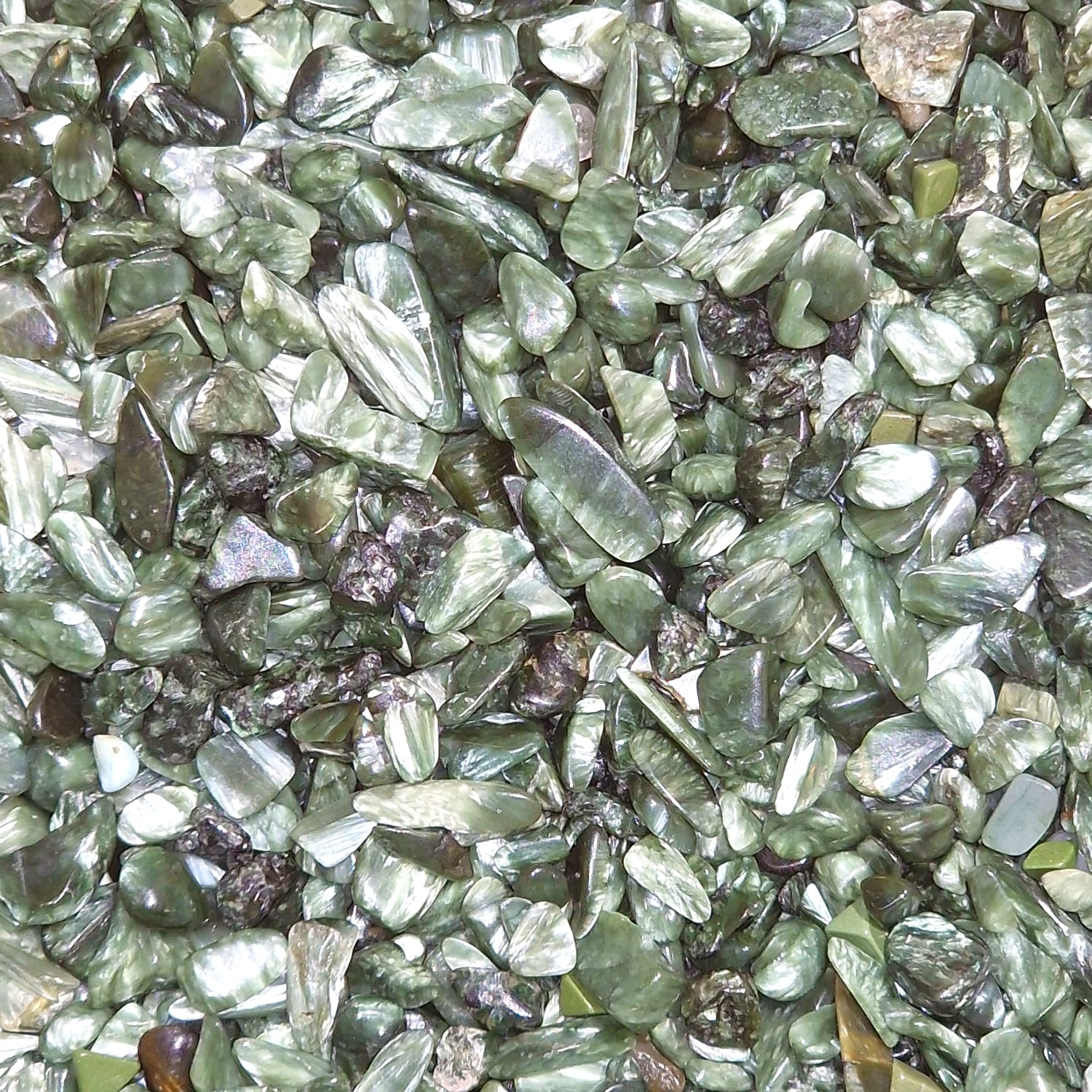 Seraphinite Mini Gem Chips – Elevate Your Spirit and Shine Bright ...