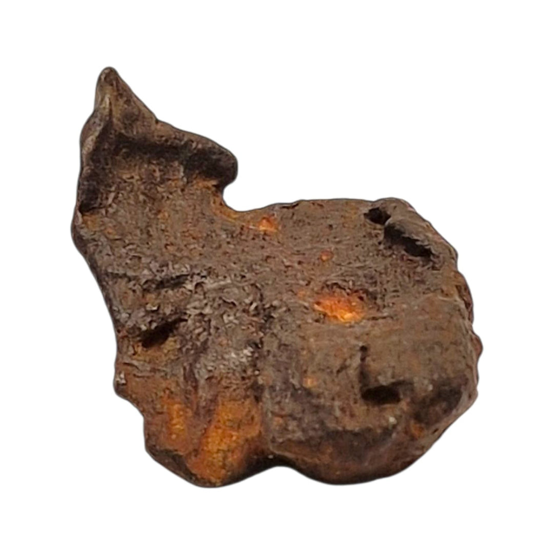 GeoFossils Sericho Pallasite Meteorite – 21.26g Polished Slice with Olivine Crystals in Iron Matrix