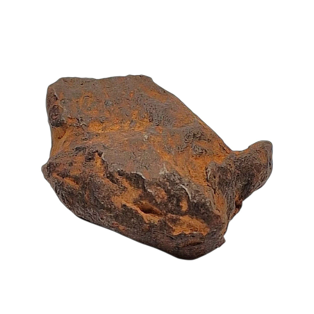 GeoFossils Sericho Pallasite Meteorite – 23.88g Polished Slice with Olivine Crystals in Iron Matrix