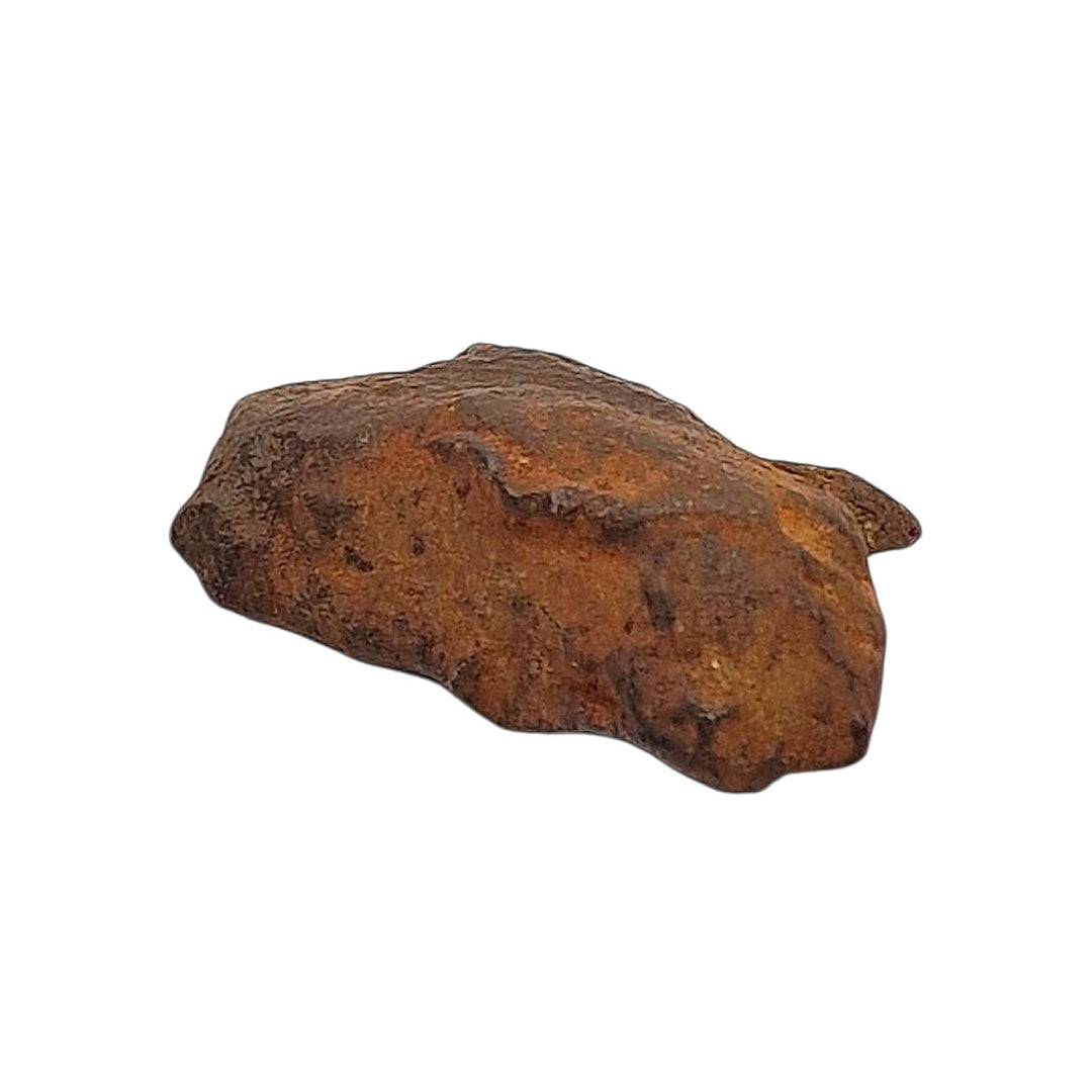 GeoFossils Sericho Pallasite Meteorite – 27.91g Raw Slice with Olivine Crystals in Iron Matrix
