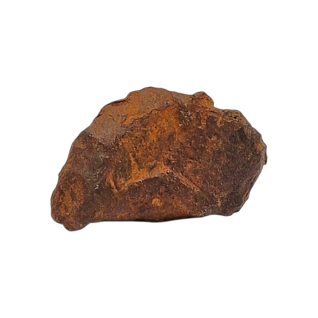 GeoFossils Sericho Pallasite Meteorite – 28.73g Raw Slice with Olivine Crystals in Iron Matrix