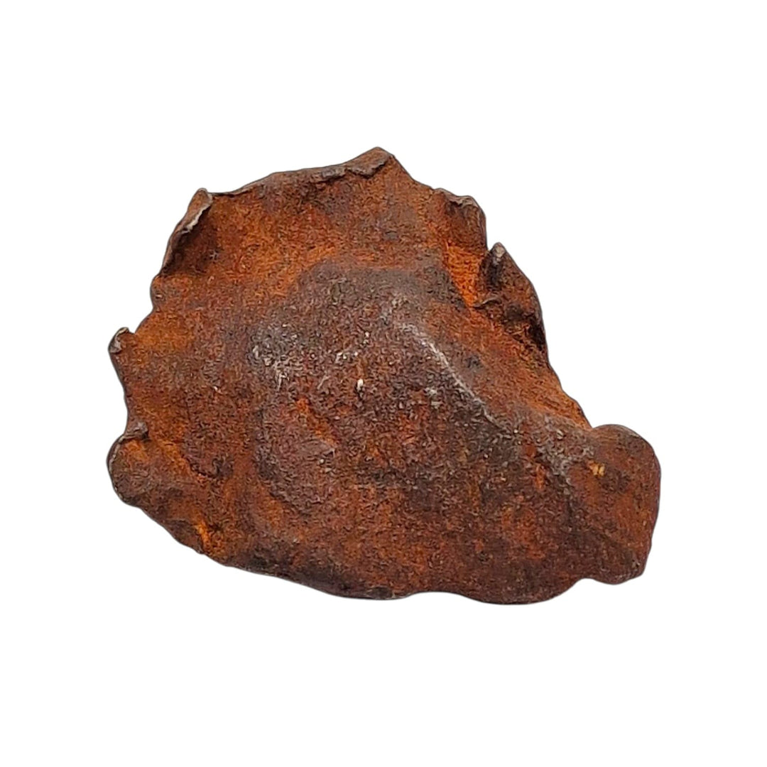 GeoFossils Sericho Pallasite Meteorite – 42.45g Raw Slice with Olivine Crystals in Iron Matrix