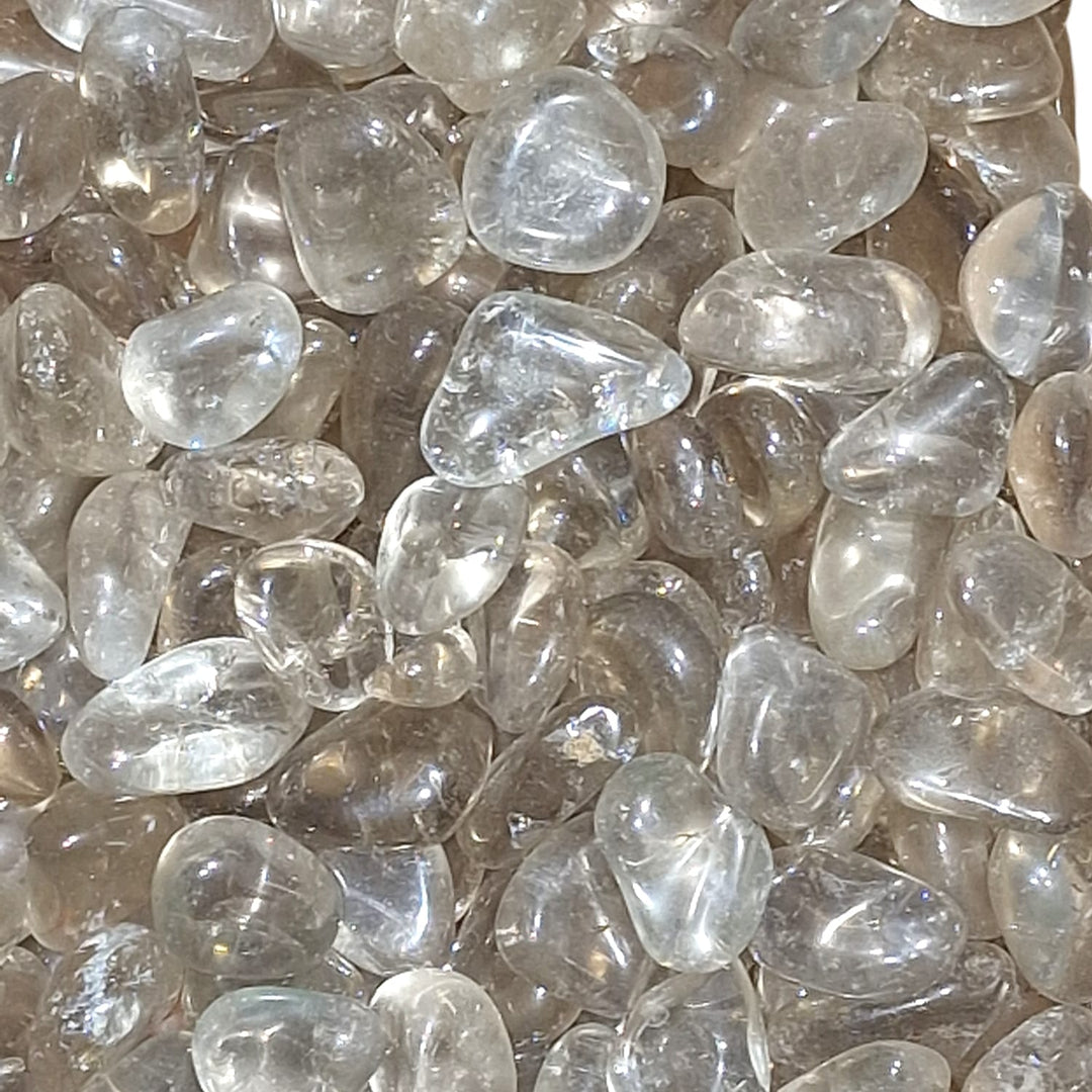 GeoFossils Natural Smoky Quartz Mini Gem Chips