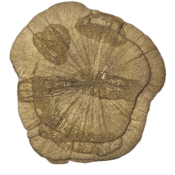 Pyrite Sun - Shine Bright Like the Sun