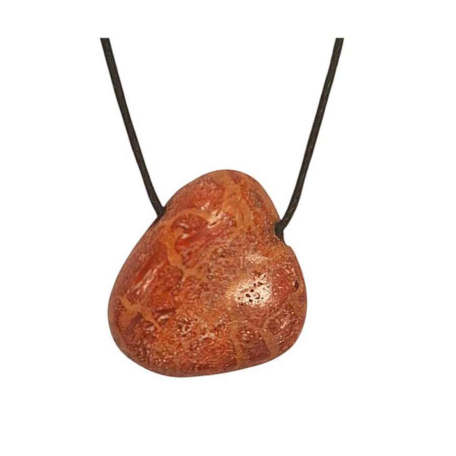 GeoFossils Sponge Coral Drilled Tumble Stone – deep red fossil crystal with horizontal drill hole for grounding and vitality