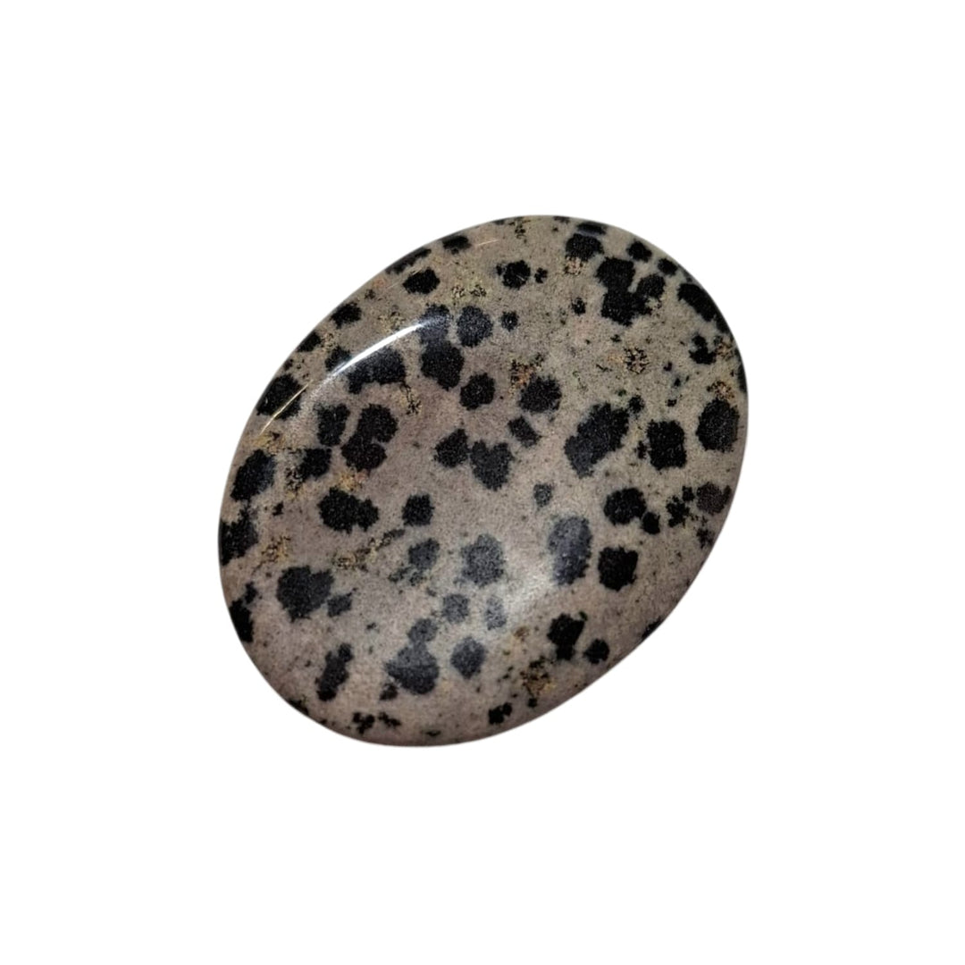 GeoFossils Dalmatian Jasper Thumbstone – cream crystal with black and brown spots for joy, protection, and grounding – smooth polished worry stone.