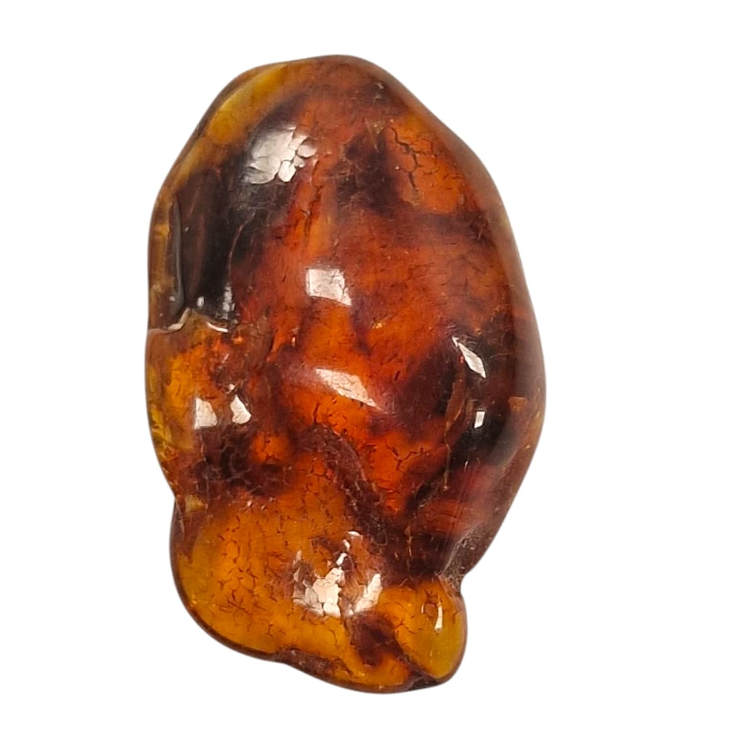 GeoFossils Amber Tumble Stone from Lithuania, a warm golden crystal of fossilised resin for healing, protection, and vitality.