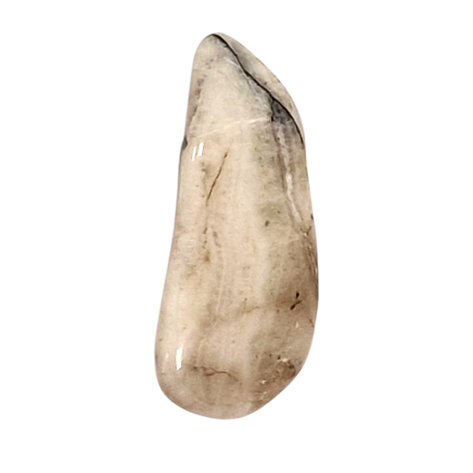 GeoFossils Cataclasite Rare Tumble Stone, a naturally fractured crystal promoting grounding, emotional strength, and transformation through resilience.