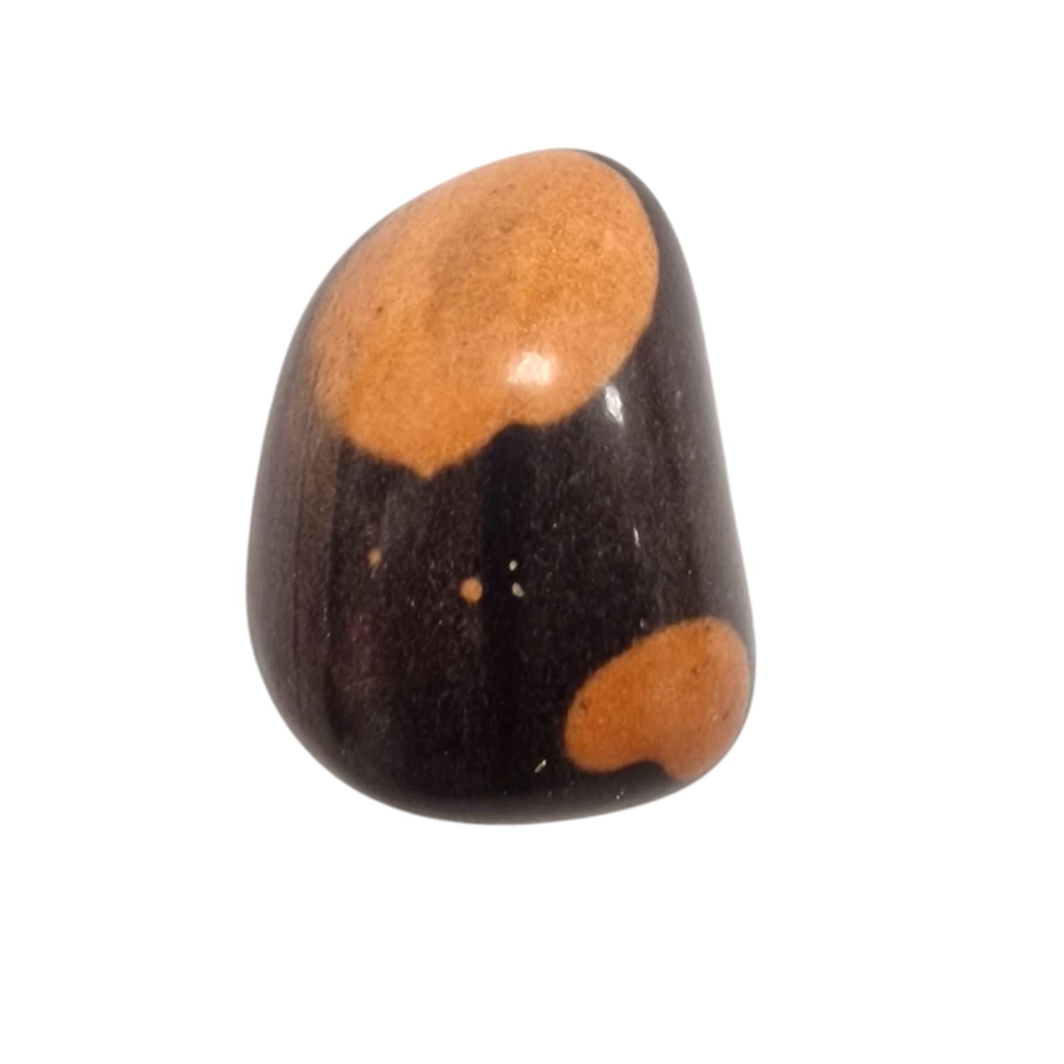 GeoFossils Gila Jasper Tumble Stone, a rare earthy crystal from the USA for grounding, protection, and emotional strength.