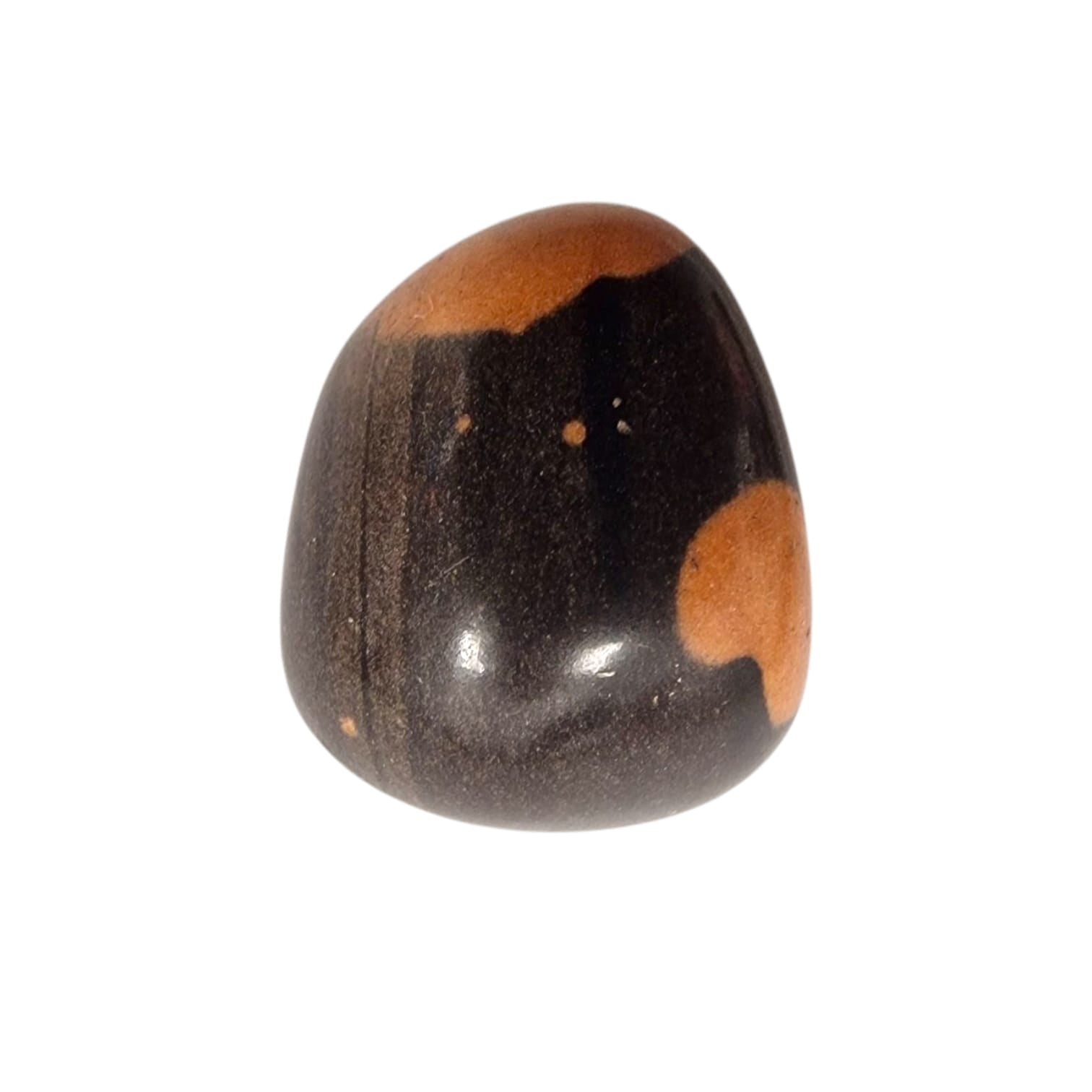 GeoFossils Gila Jasper Tumble Stone, a rare earthy crystal from the USA for grounding, protection, and emotional strength.