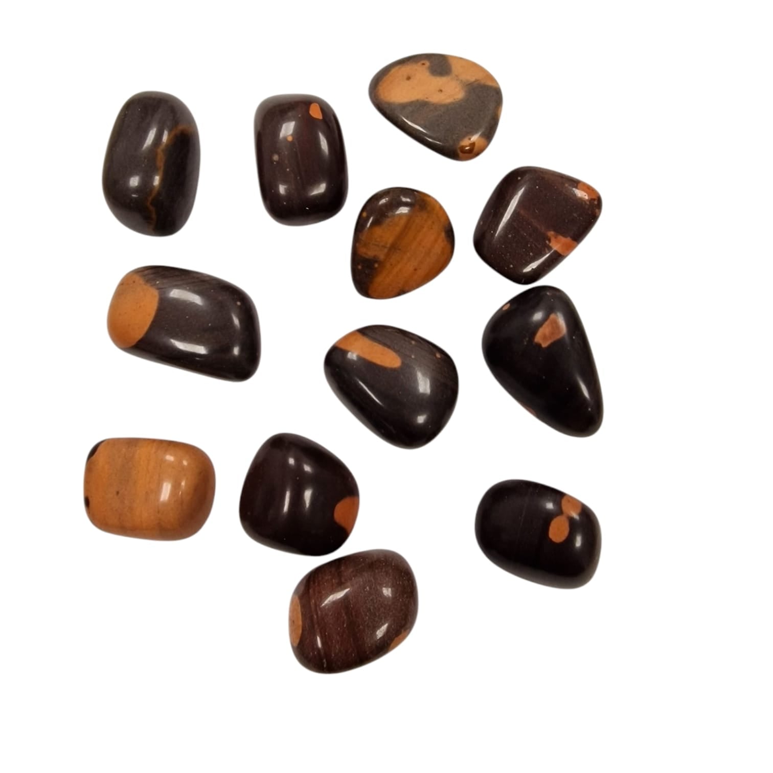 GeoFossils Gila Jasper Tumble Stone, a rare earthy crystal from the USA for grounding, protection, and emotional strength.