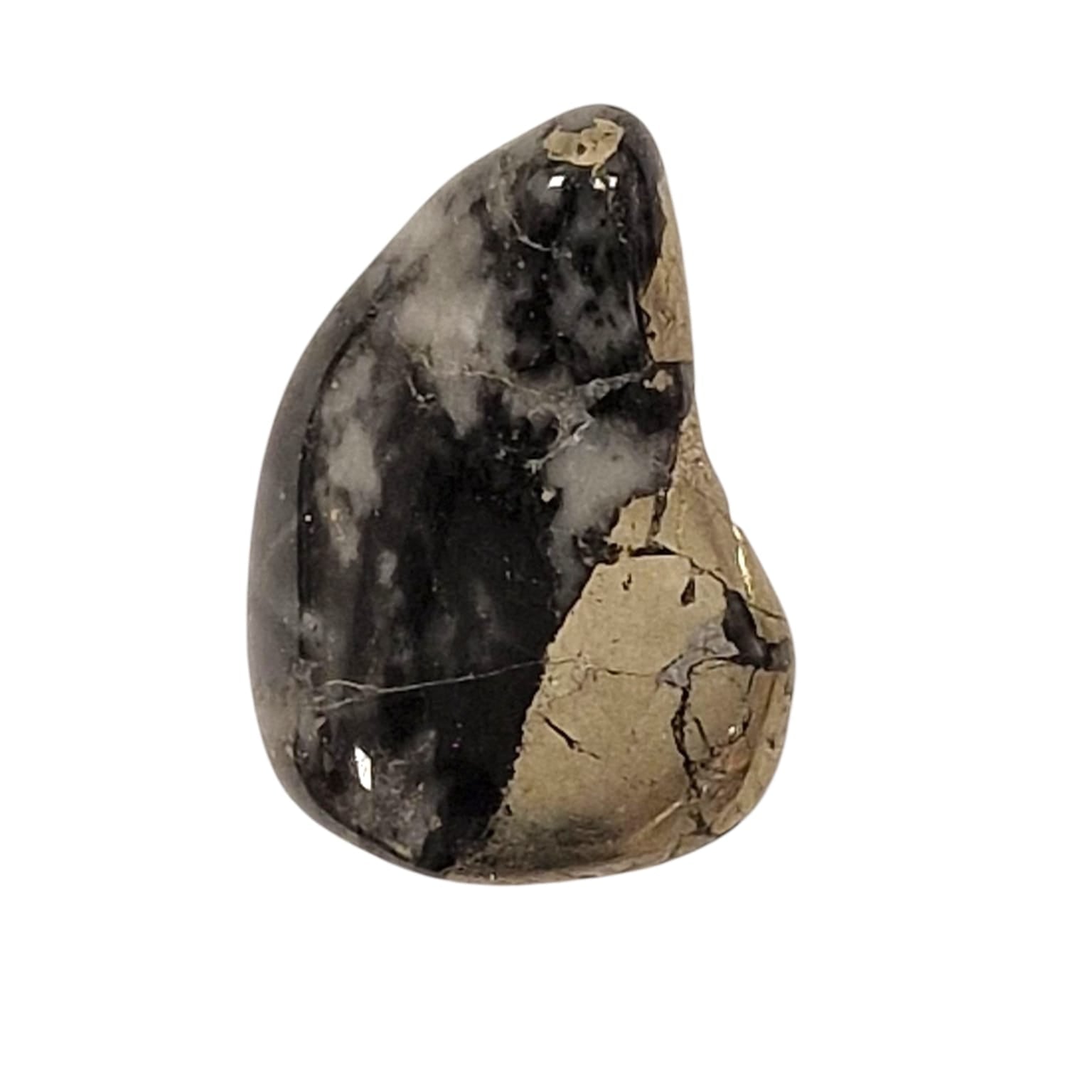 GeoFossils Healer’s Gold (Apache Gold) Tumble Stone, a blend of Pyrite and Magnetite for grounding, vitality, and energetic protection.