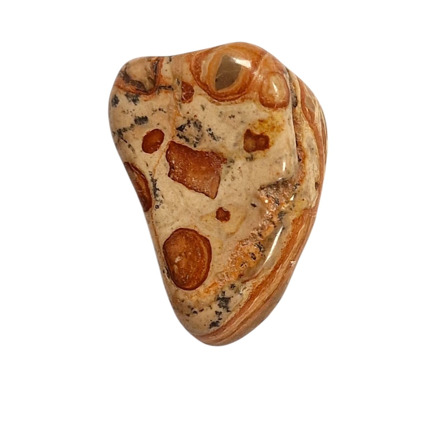 GeoFossils Oncolite (Leopardite) Tumble Stone, a spotted earthy crystal for grounding, emotional healing, and strength through change.