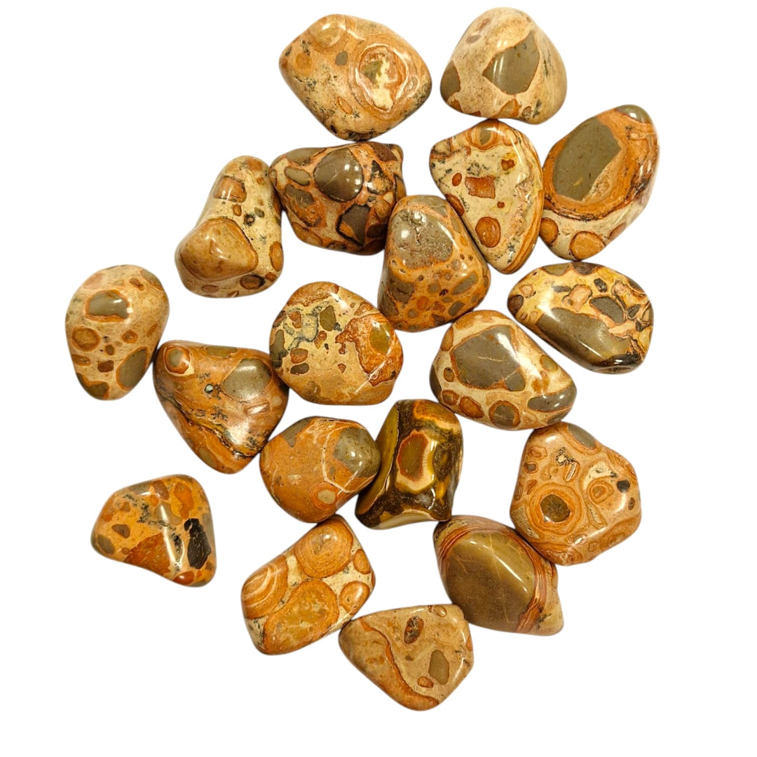 Oncolite (Leopardite) Tumble Stone – polished tumble stone for crystal healing and meditation
