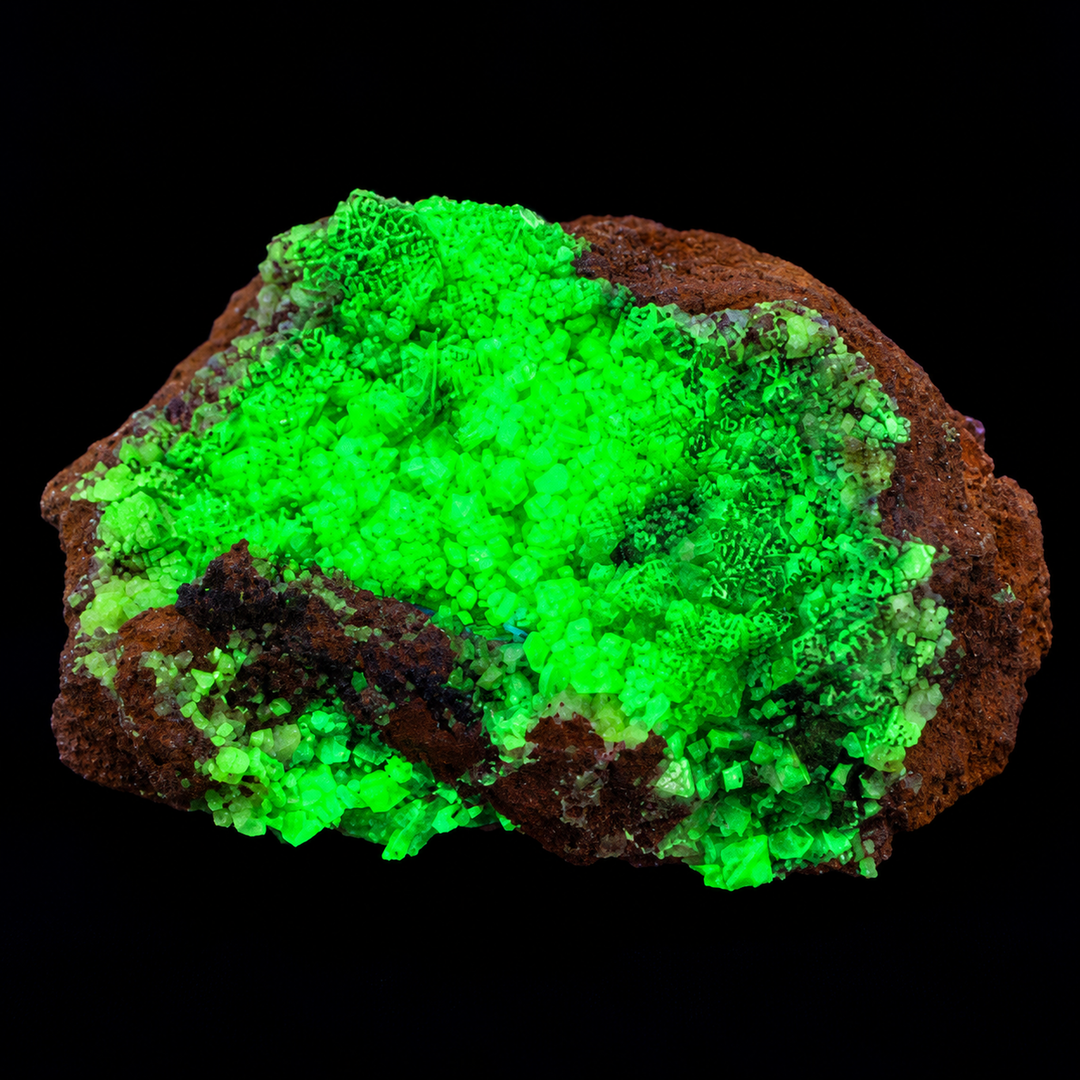GeoFossils Adamite specimen 183 under Mid Wave UV, displaying intense green fluorescence across the broad crystal-covered surface.