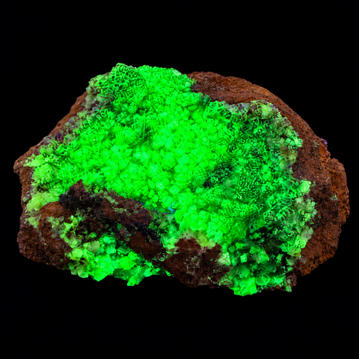 GeoFossils Adamite specimen 183 under Mid Wave UV, displaying intense green fluorescence across the broad crystal-covered surface.