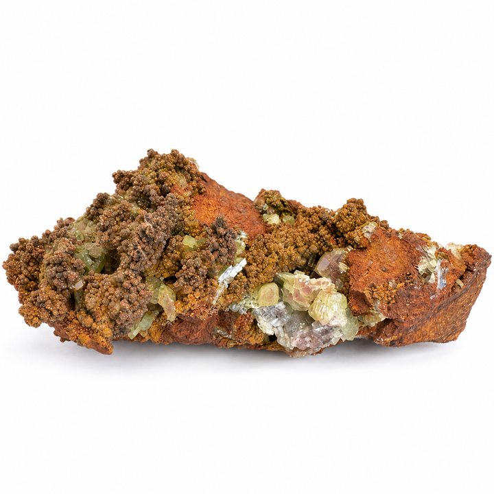 GeoFossils Adamite specimen 185 in daylight, an elongated reddish-brown specimen with clustered crystals across the surface.